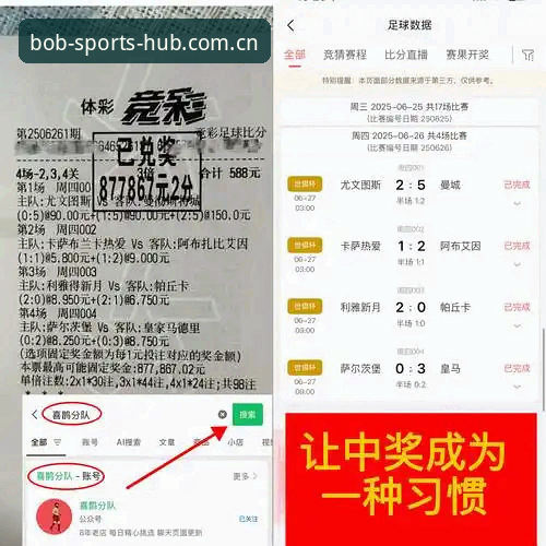半岛体育平台备用网址对比深度分析：专业用户如何选择最优入口方案